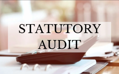 Statutory Audits
